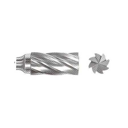 Carbide End Mill, cylindrical with cutting edge, 06x19.06-50mm, 1F